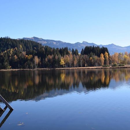 Haus Brugglbach Lägenhet Kirchberg in Tirol Exteriör bild