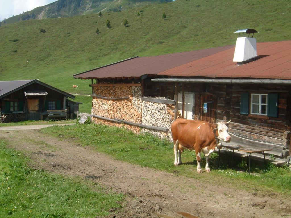 Haus Brugglbach Lägenhet Kirchberg in Tirol Exteriör bild