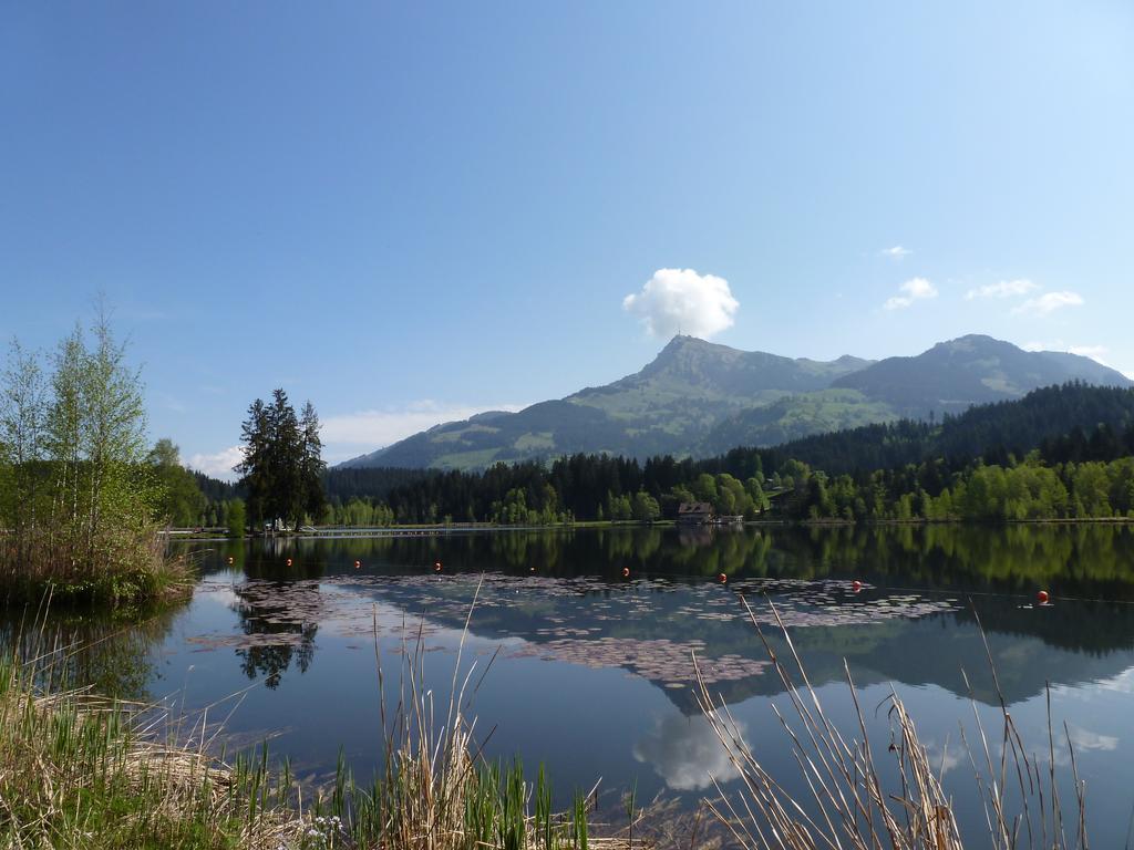 Haus Brugglbach Lägenhet Kirchberg in Tirol Exteriör bild