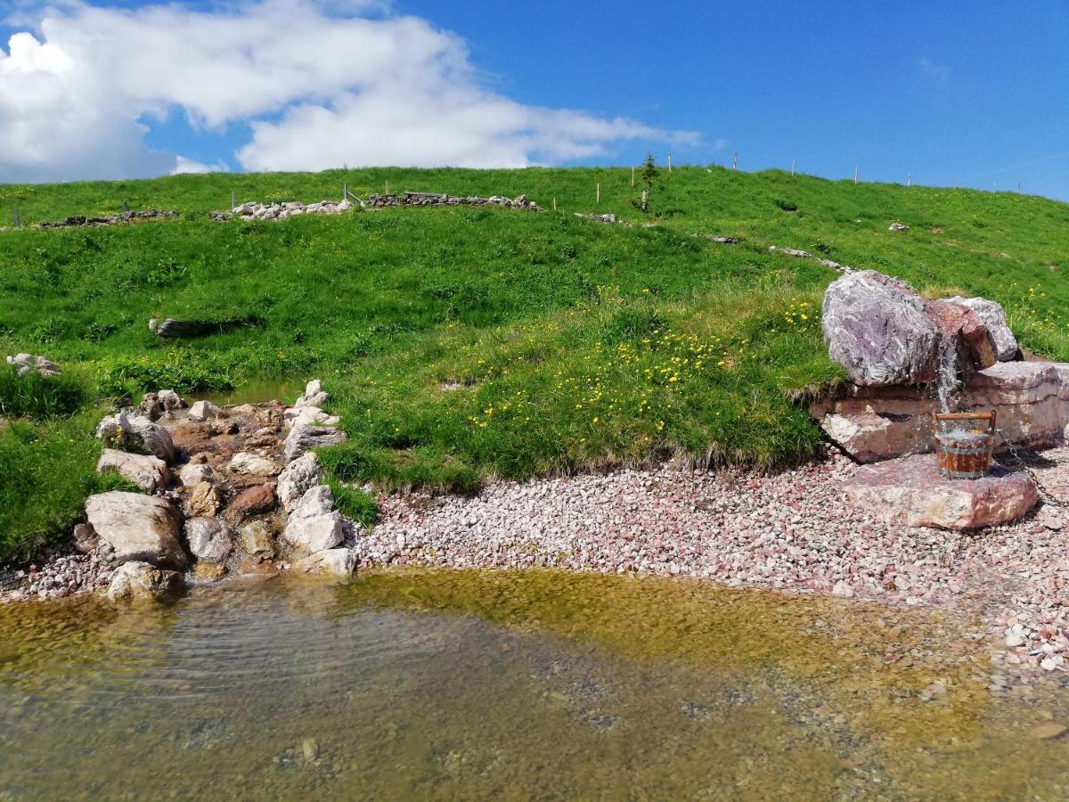 Haus Brugglbach Lägenhet Kirchberg in Tirol Exteriör bild